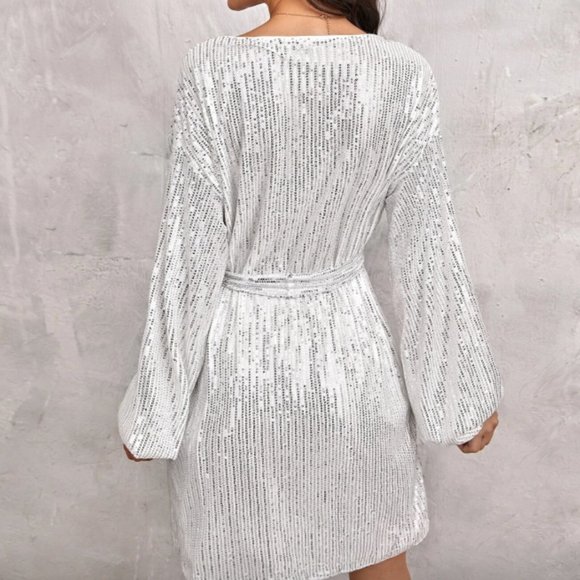 Silver Belted Sequins Dress - Picture 2 of 5